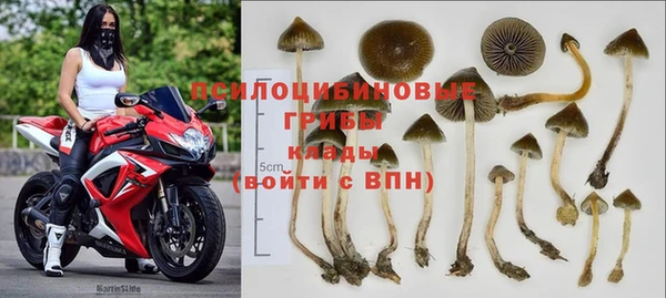 Альфа ПВП Белокуриха